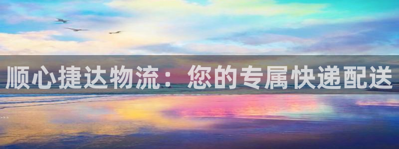 28圈最稳打法：顺心捷达物流：您的专