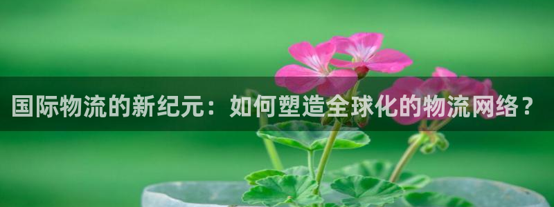 28圈分分压单双技巧：国际物流的新纪