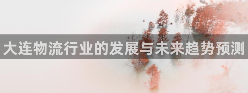 28圈网赌有什么风险：大连物流行业的发展与未来趋势预测