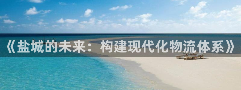28圈注册入口与教程：《盐城的未来：