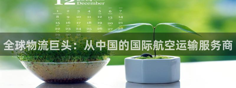 28圈预测加拿大