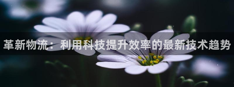 28圈预测加拿大师准