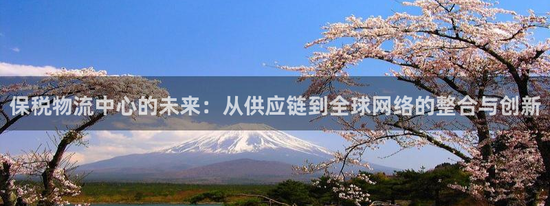 28圈注册网站：保税物流中心的未来：