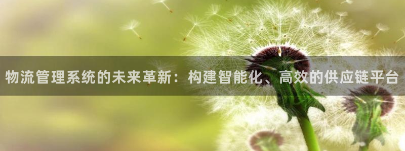 28圈加拿大走势：物流管理系统的未来革新：构建智能化、高效的