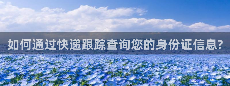 28圈预测：如何通过快递跟踪查询您的