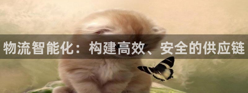 28圈反水怎么算