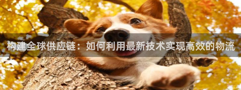 28圈软件有什么用