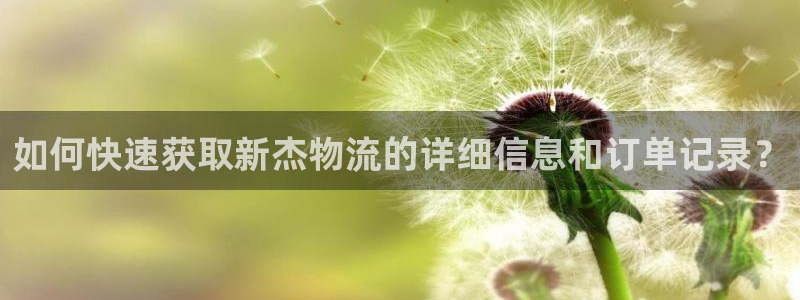 28圈机器人是什么软件
