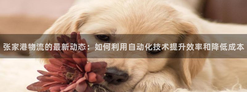 28圈提现不到账