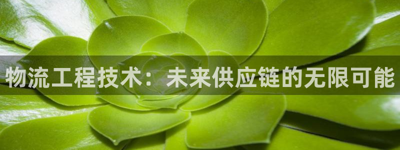 28圈p扣除是什么意思