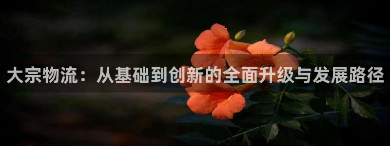 28圈注册链接教程：大宗物流：从基础到创新的全面升级与发展路
