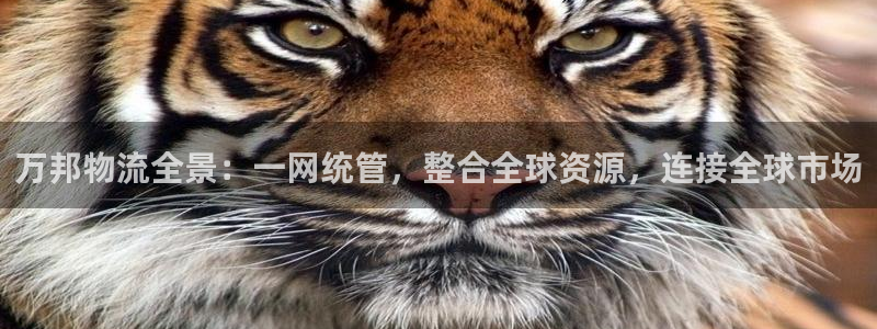 28圈现在狂杀：万邦物流全景：一网统管，整合全球资源，连接全