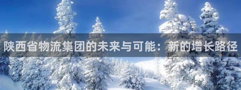 28圈充值金额随便