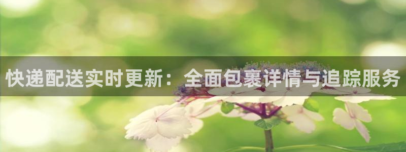 28圈赌博被抓