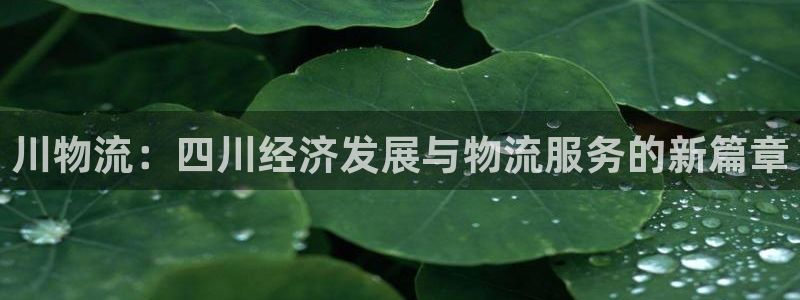 28圈加拿大