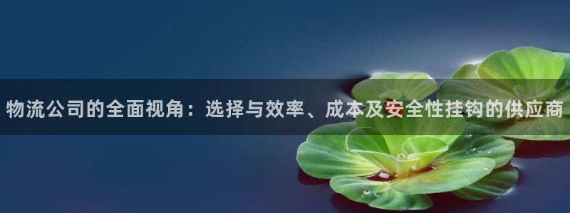 28圈加拿大app预测
