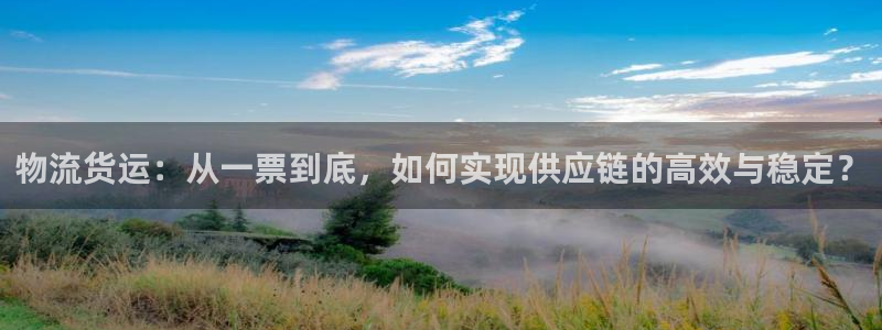 28圈辅助