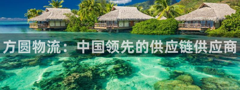 28圈代理落网