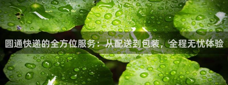 28圈是正规软件吗