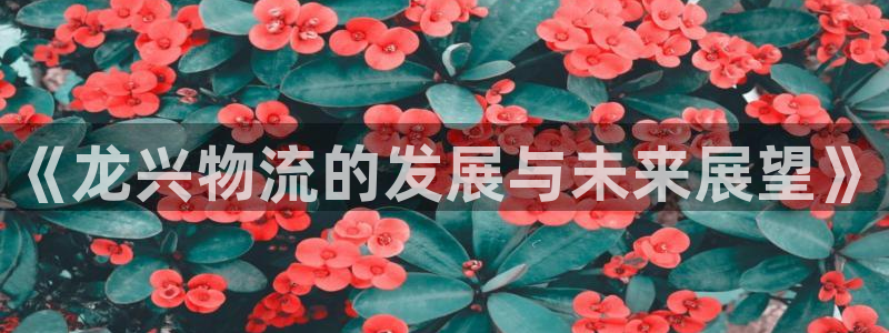 28圈.ccm正版