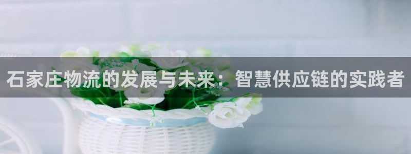 28圈是南宫旗下的吗