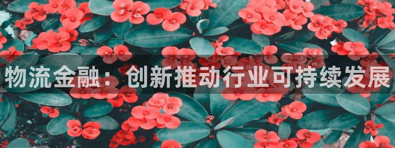 28圈体育下载