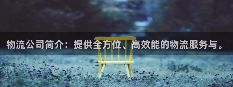 28圈连输10天：物流公司简介：提供