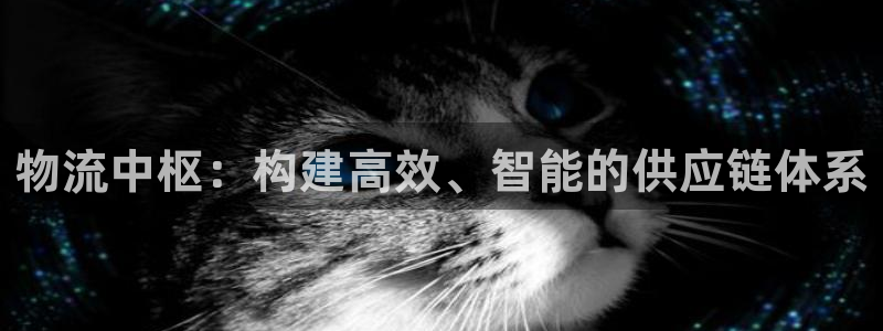 28圈注册链接入口：物流中枢：构建高