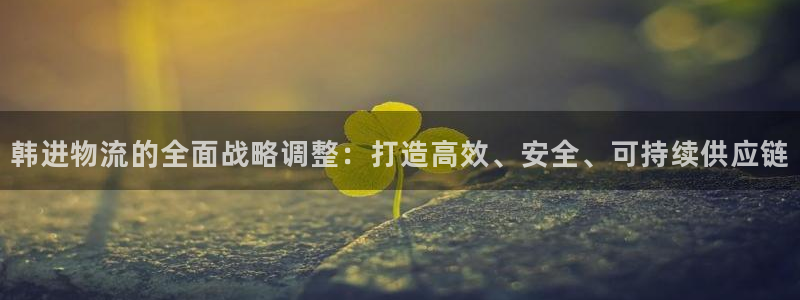 28圈.ccm南宫：韩进物流的全面战