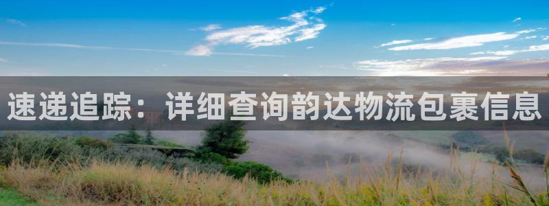 28圈v6能卖多少