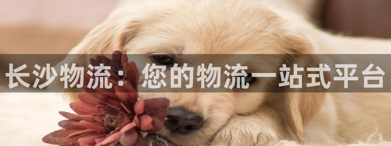 28圈退款教程