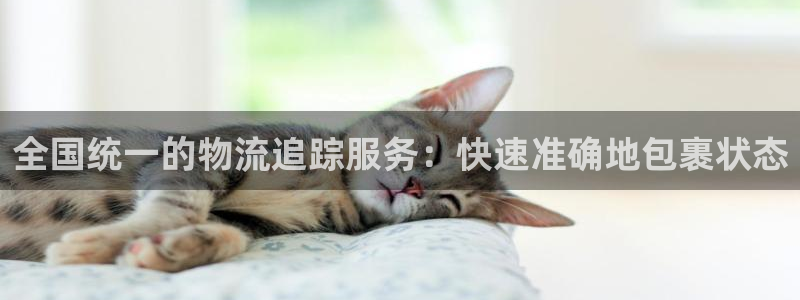 28圈网站平台