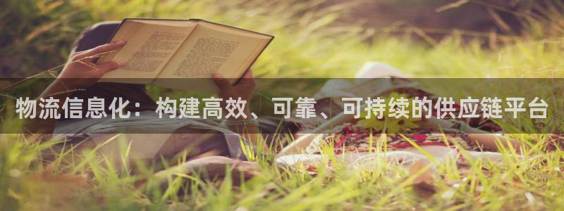 28圈官方官网：物流信息化：构建高效
