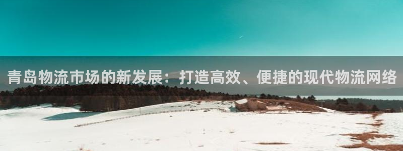 28圈是干嘛的:青岛物流市场的新发展