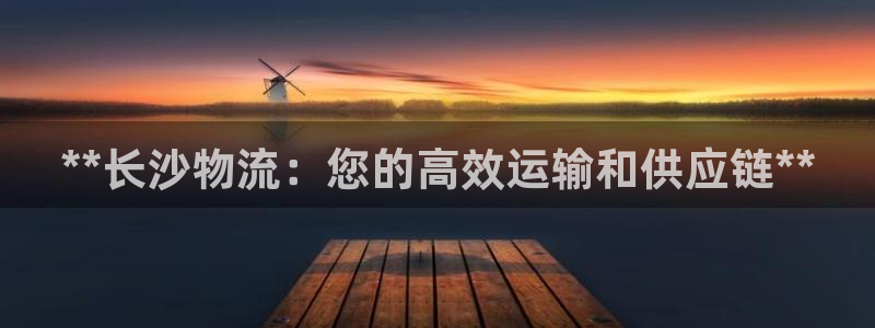 28圈游戏官网版:**长沙物流:您的