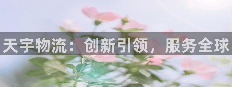 28圈链接来一个:天宇物流:创新引领