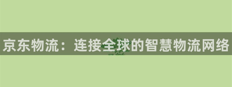 28圈退款教程:京东物流:连接全球的
