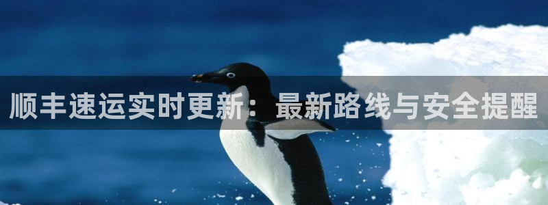 28圈初始密码在哪里修改的