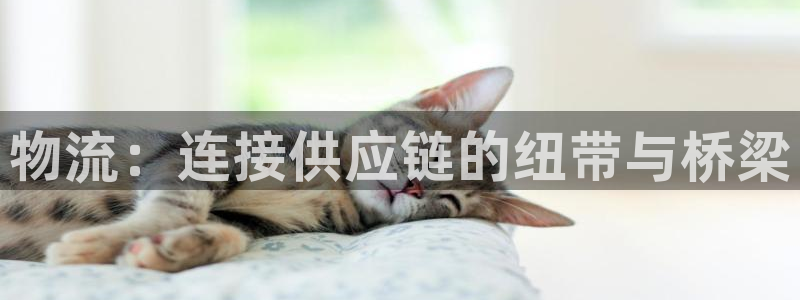 28圈注册平台：物流：连接供应链的纽