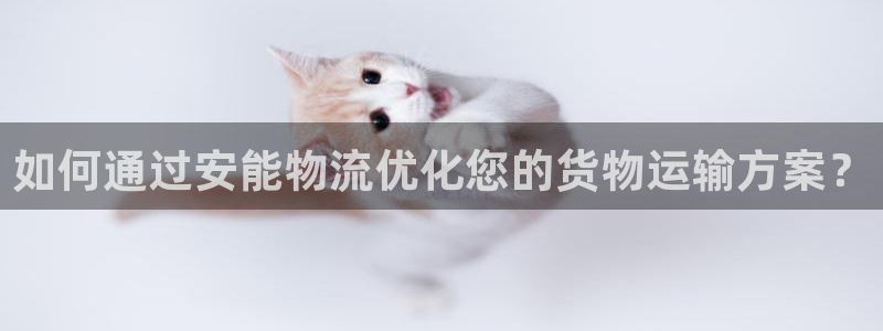 28圈官网开奖结果预测查询：如何通过安能物流优化您的货物运输