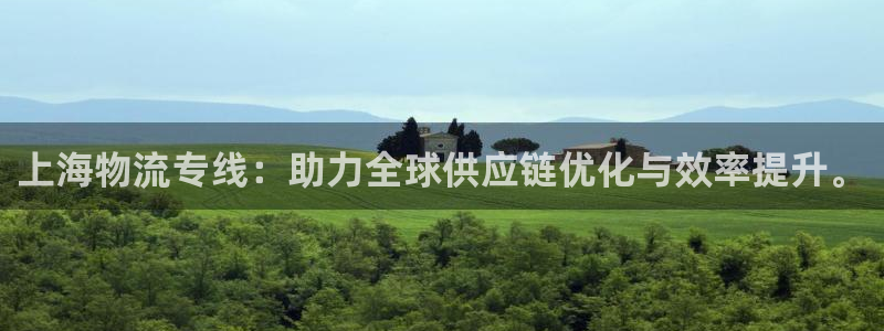 28圈注册官网：上海物流专线：助力全