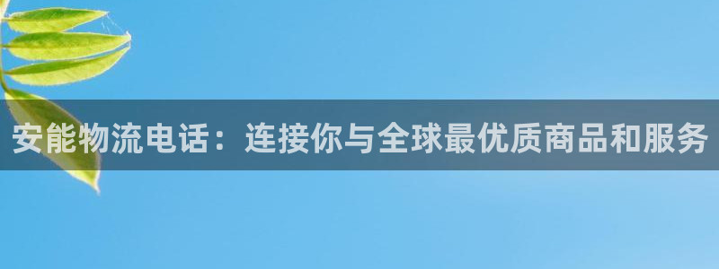 28圈注册网站链接:安能物流电话:连