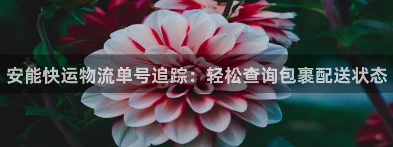 28圈能赢钱吗：安能快运物流单号追踪