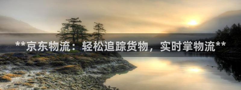 28圈注册网页版：**京东物流：轻松追踪货物，实时掌物流**