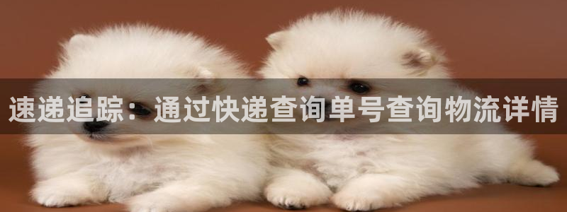 28圈哪个最赚钱