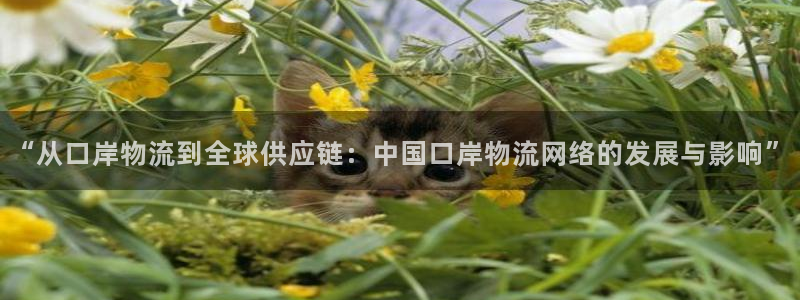 28圈链接是什么