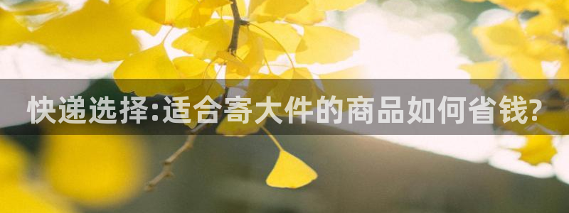 28圈女王中奖记录查询：快递选择:适