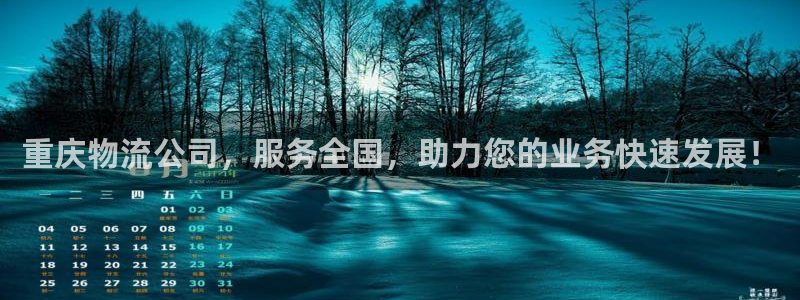 28圈流水怎么算：重庆物流公司，服务