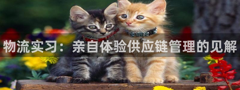 28圈如何注销账号：物流实习：亲自体