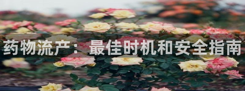 南宫28圈官网版